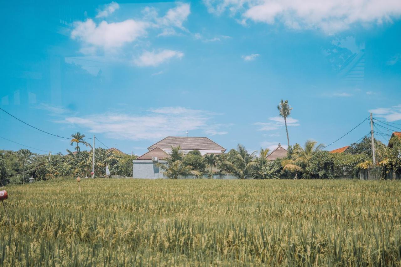 Gajah Villa By Betterplace Canggu Eksteriør bilde